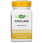 Холін (Choline) 500 мг