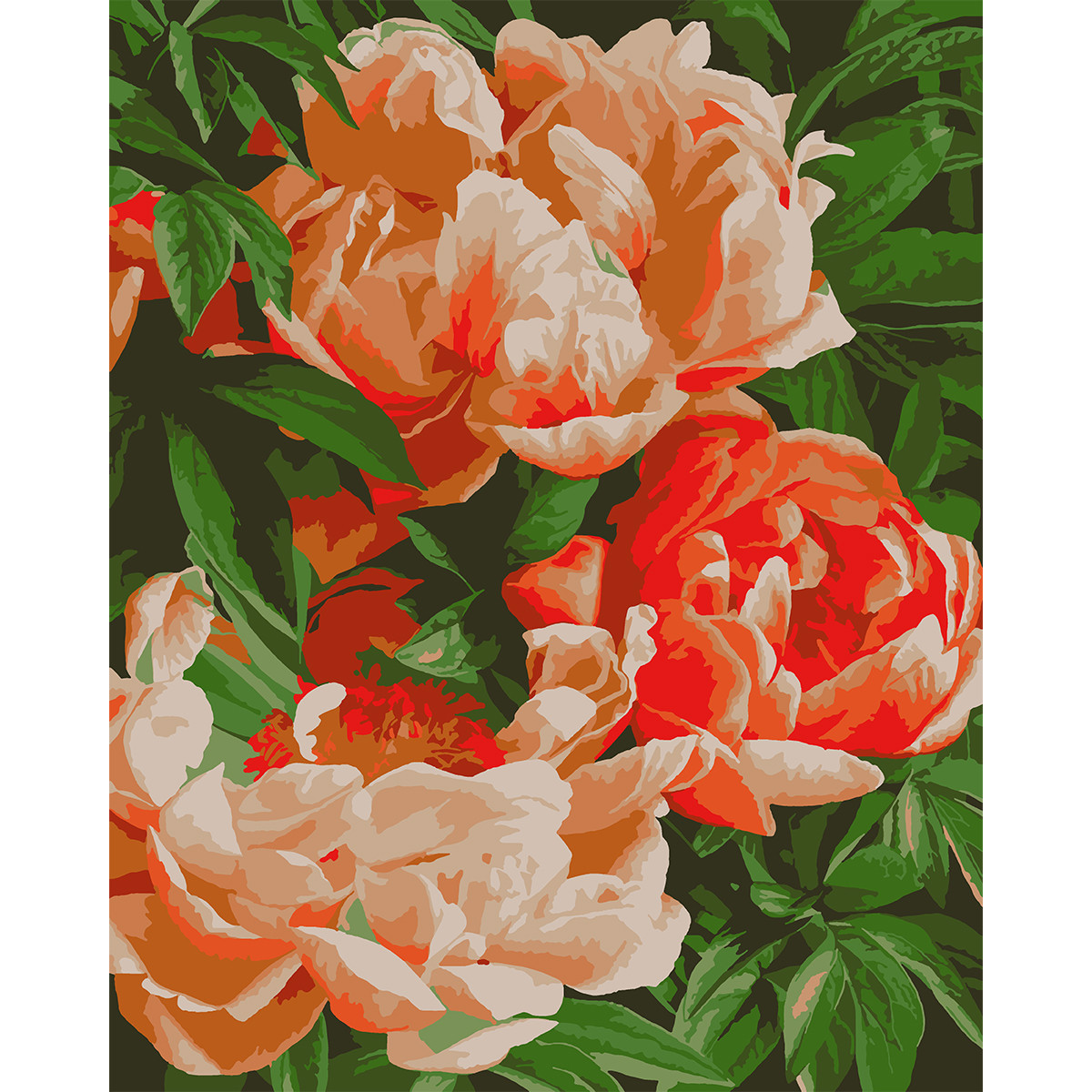 Набір, картина за номерами "Розкішні півонії", 40*50 см., SANTI