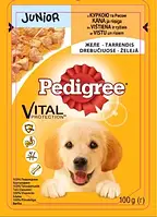 Влажный корм Pedigree (Педигри) Junior для щенков курица в желе 100г