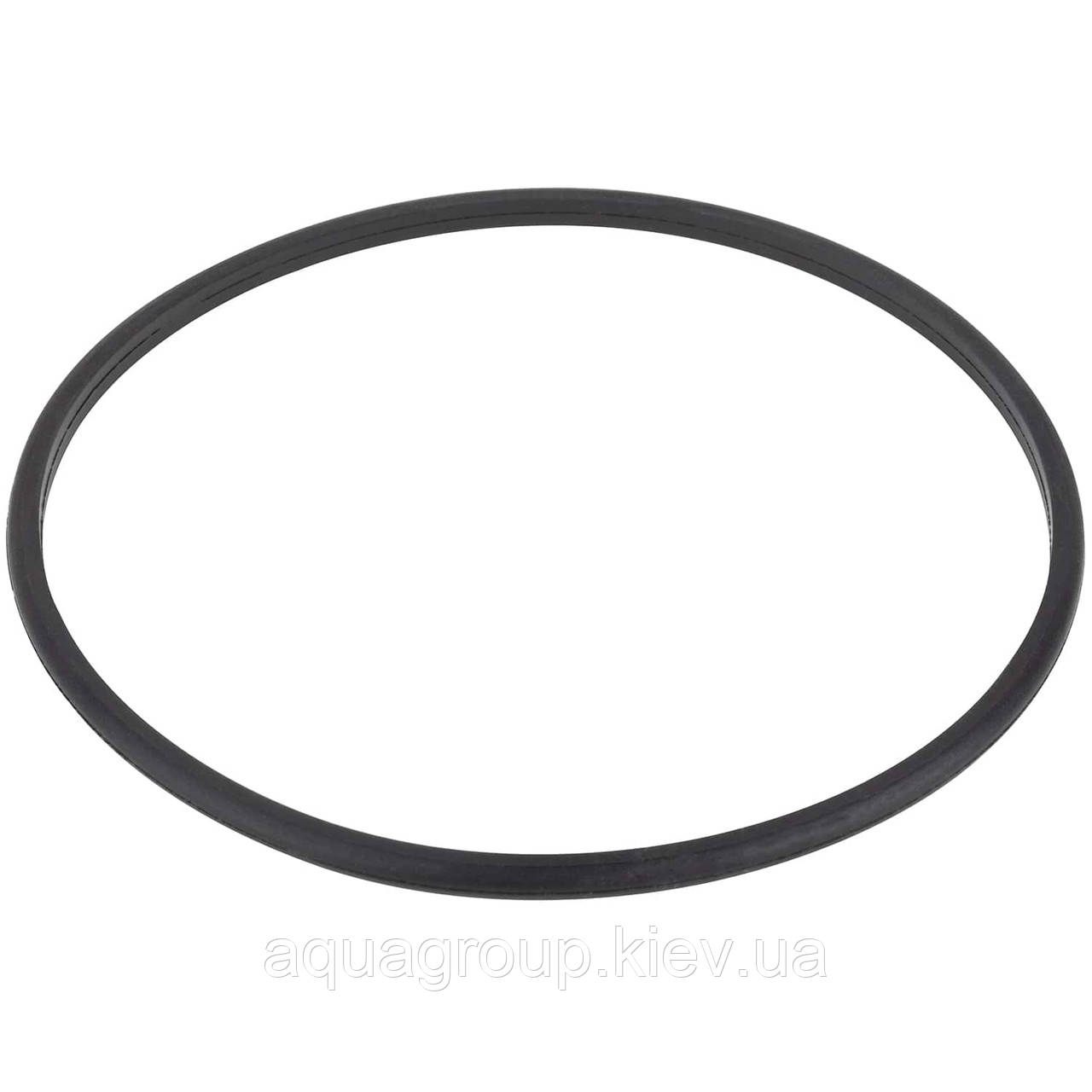 Aquaviva Ущільне кільце дифузора насоса Aquaviva STP 150-300