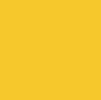 Фото паперовий фон жовтий Panorama Forsythia yellow 2.72 m x 11m