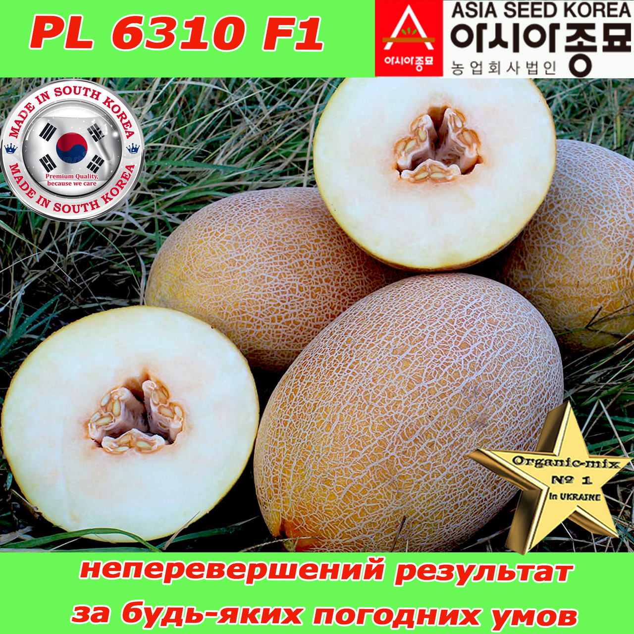 Насіння, диня цукрова PL 6310 F1 500 насінин ТМ Asia Seed (Південна Корея)