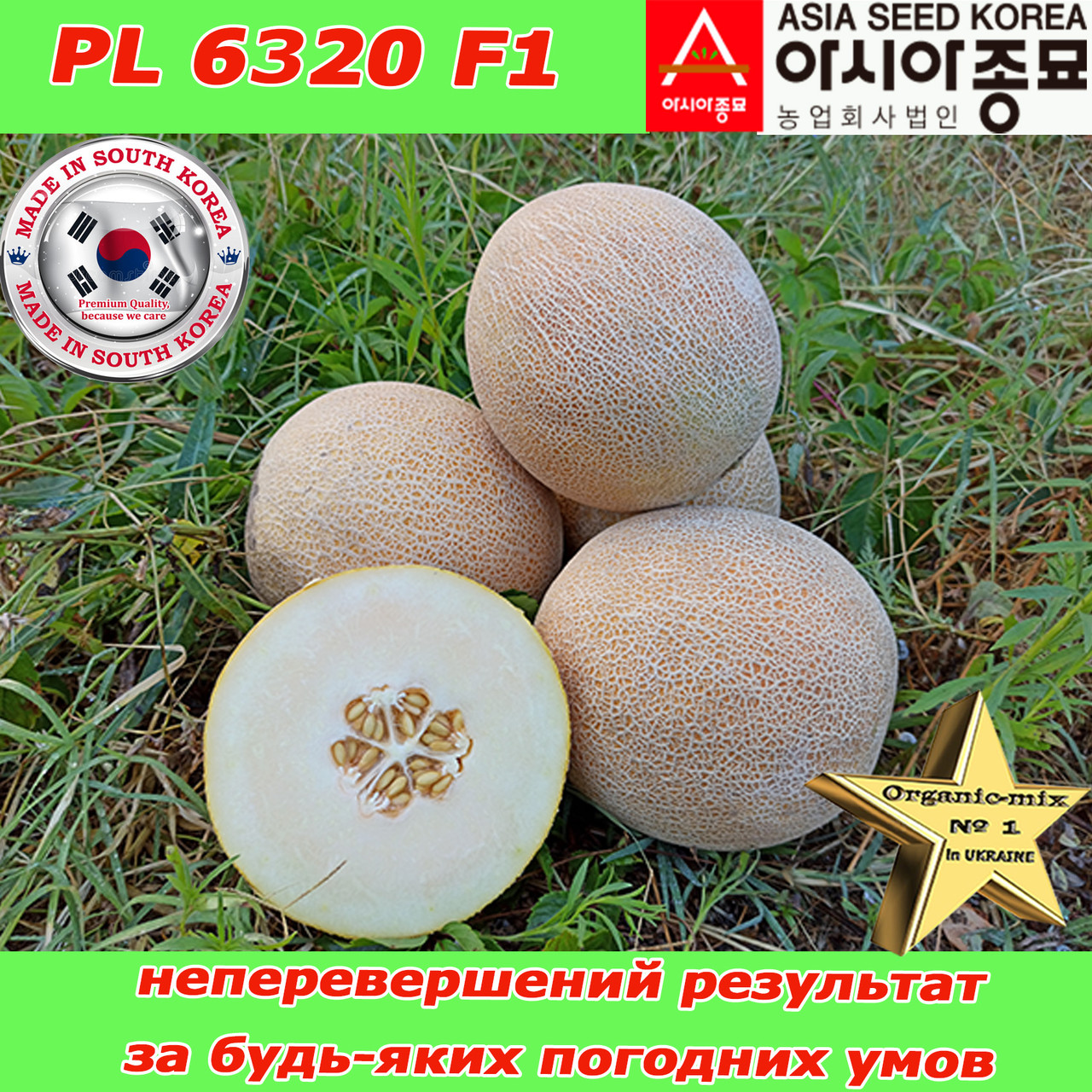 Насіння, диня ультра-рання, цукрова, PL 6320 F1, 500 насінин ТМ Asia Seed (Південна Корея)