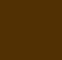 Фото фон паперовий коричневий Panorama Coco brown 2.72 m x 11m