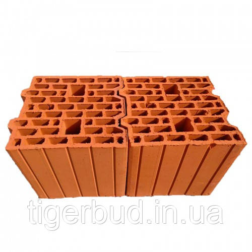 Керамический блок Теплокерам 25 Еко (250х250х238 мм) Керамейя - фото 2 - id-p1499400457