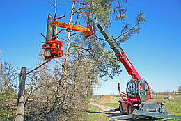 Грейферна пила для кріплення кардана до крана Westtech Woodcracker CS crane