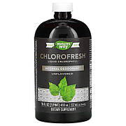 Nature's Way, Chlorofresh, рідкий хлорофіл, без добавок, 480 мл (16 рідк. унцій)