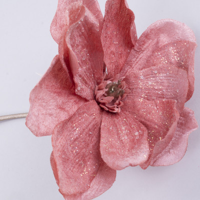 Квіти магнолія "коротка блискуча" №5102 - фото 1 - id-p1499536174