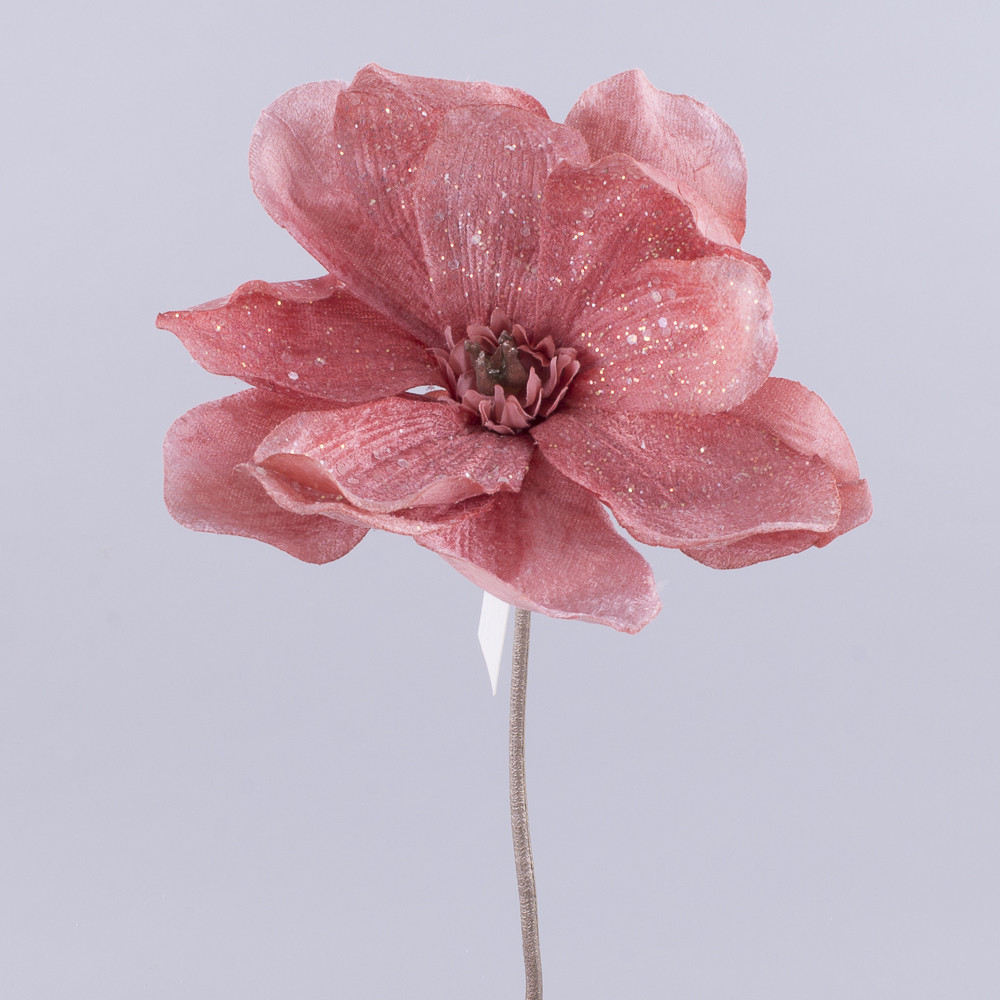 Квіти магнолія "коротка блискуча" №5102 - фото 2 - id-p1499536174