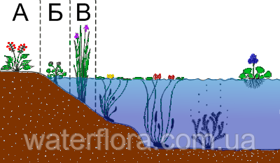 зони водойми, схема