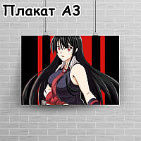Плакат А3, Вбивця Акаме 5