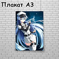 Плакат А3, Вбивця Акаме 11