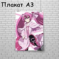 Плакат А3, Вбивця Акаме 13