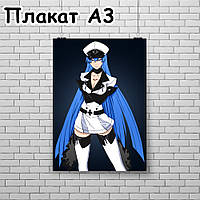 Плакат А3, Вбивця Акаме 15