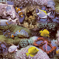 Обои для стен виниловые флизелиновые рыбки подводный мир фотообои Good Vibes Decoprint Бельгия 53 см GV24270