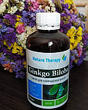 Сироп "Покращення памяті з гінкго білоба", Сироп "Поліпшення пам'яті з гінкго білоба" Джерелія Джерелия, 200 мл, фото 2