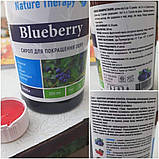 Сироп "Покращення памяті з гінкго білоба", Сироп "Поліпшення пам'яті з гінкго білоба" Джерелія Джерелия, 200 мл, фото 5