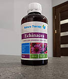 Сироп для зміцнення імунітету "Ехінацея", Джерелія, 200 мл, фото 2