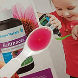 Сироп для зміцнення імунітету "Ехінацея", Джерелія, 200 мл, фото 4