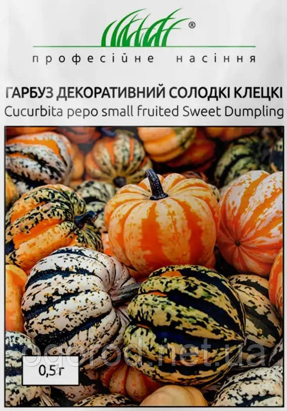 Гарбуз Солодкі Клецкі декоративна W. Legutko Польща