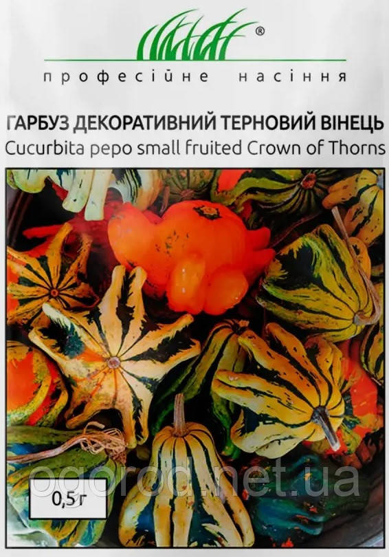 Гарбуз Терновий Венеція декоративна W. Legutko Польща