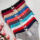 Жіночі бавовняні труси #5145 Agedanni оптом, фото 6