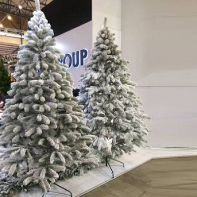 Ялинка лита "Президентська" ЗАСНІЖЕНА