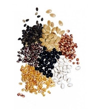 Протруйники