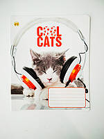 Зошит в косу лінію 12 аркушів кольорова обкладинка LEADER | Зошити мікс | Зошити унісекс |