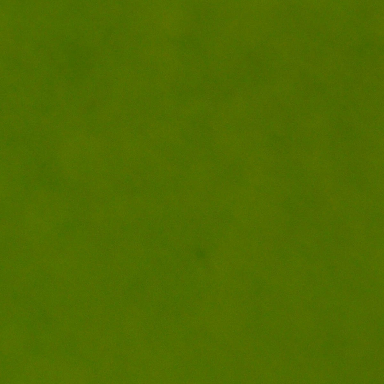 Фетр жорсткий Santi Салатовий 21*30 см 740404