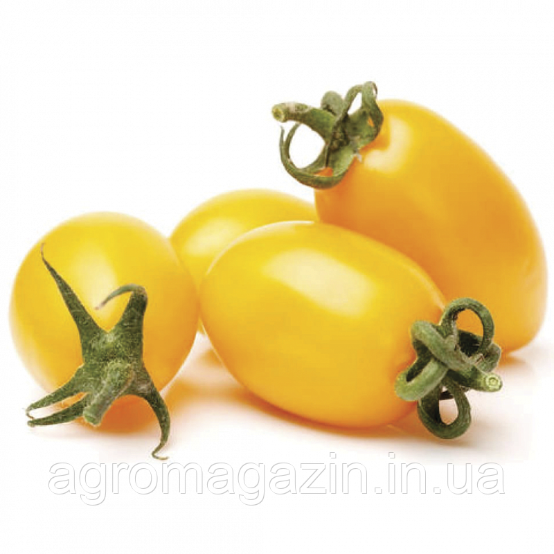 Томат Флоренс F1 (1000нас.) детермінантний