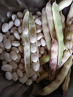 Семена Фасоль зерновая Бомбочка, 1 кг