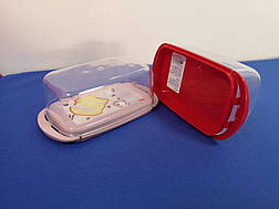 Маслянка пластикова, фото 3