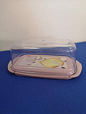 Маслянка пластикова, фото 2