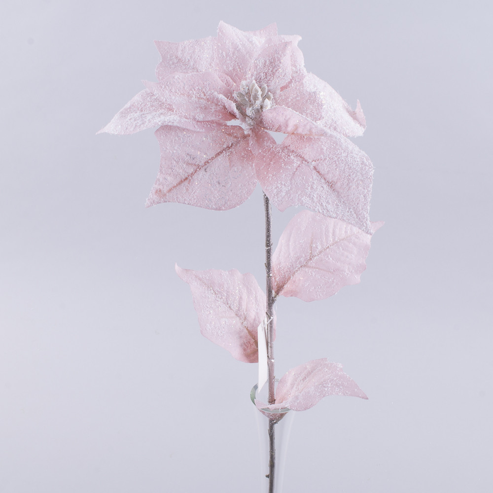 Квіти пуансетія ніжна пастель засніжена №2122 - фото 1 - id-p1500174277