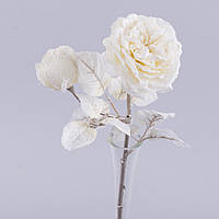 Квіти роза англійська засніжена з бутоном №5061