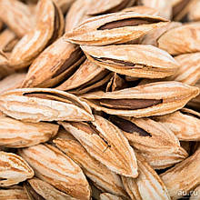 Мигдаль Паперовий