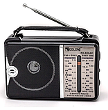 Приймник радіо колонка COLON RX-606AC, фото 2