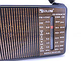 Приймник радіо колонки GOLON RX-608ACW, фото 6