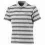 Поло Columbia Big Smoke Stripe Polo світло-сіре