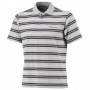 Поло Columbia Big Smoke Stripe Polo світло-сіре, фото 1