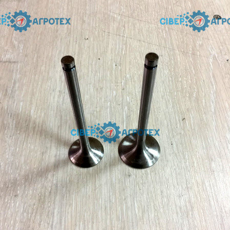 Клапана ZS-ZH-1100 2шт