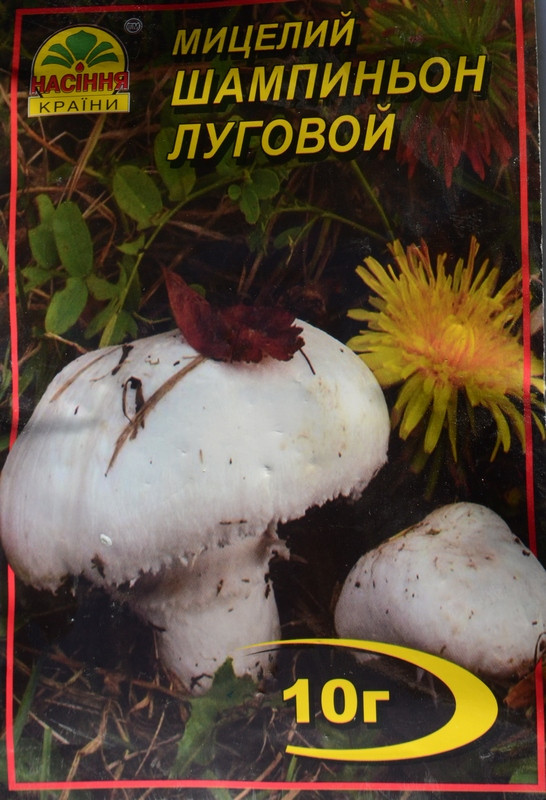 Мицелий гриба Шампиньон Луговой, 10г - фото 1 - id-p232328538
