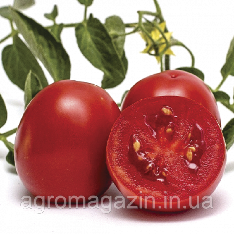 Томат Чезена F1 (1000нас.) детермінантний