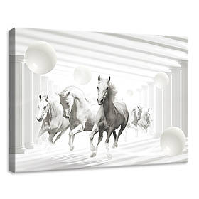 Картина на полотні 70x50 см Анотація коней (PP10154O7)
