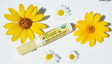 Органічний бальзам для губ Sierra Bees США honey Lip Balm медовий, фото 3