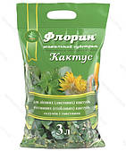 Флорін кактус 3л
