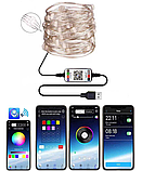 Гірлянда SMART-TWIN РОСА нитка 100LED, 220 В, 10 метрів, BlueTooth RGB колір (керується смартфоном), фото 2