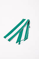 Узкий шарф FAMO 33 Зеленый 88*5 (33)