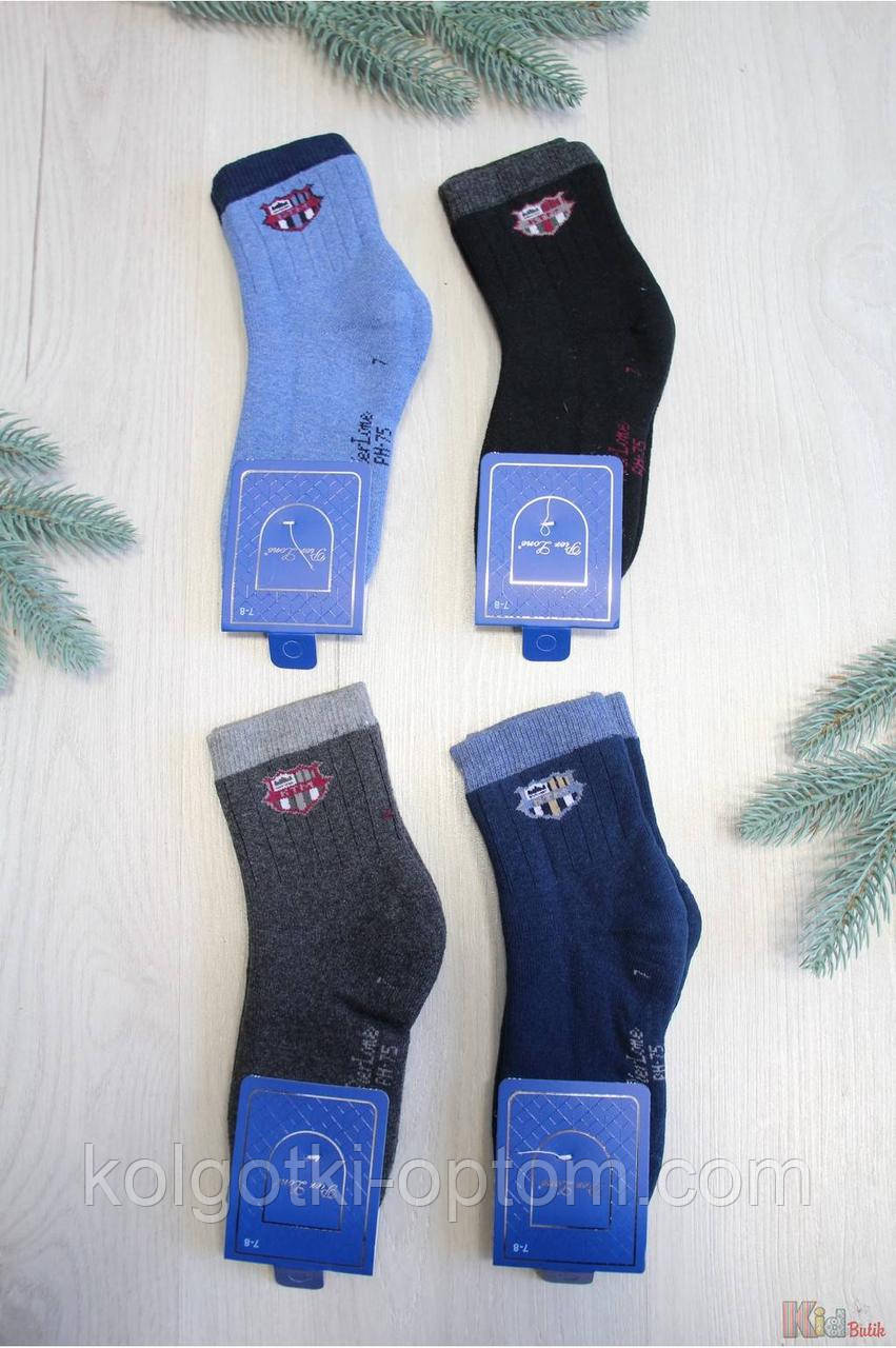 ОПТОМ Шкарпетки махрові з емблемою для хлопчика (23 / 10-12 років) Pier Lone 2125000757391